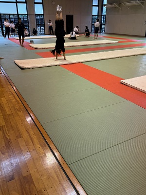 061025　エンジョイスポーツ　器械体操09